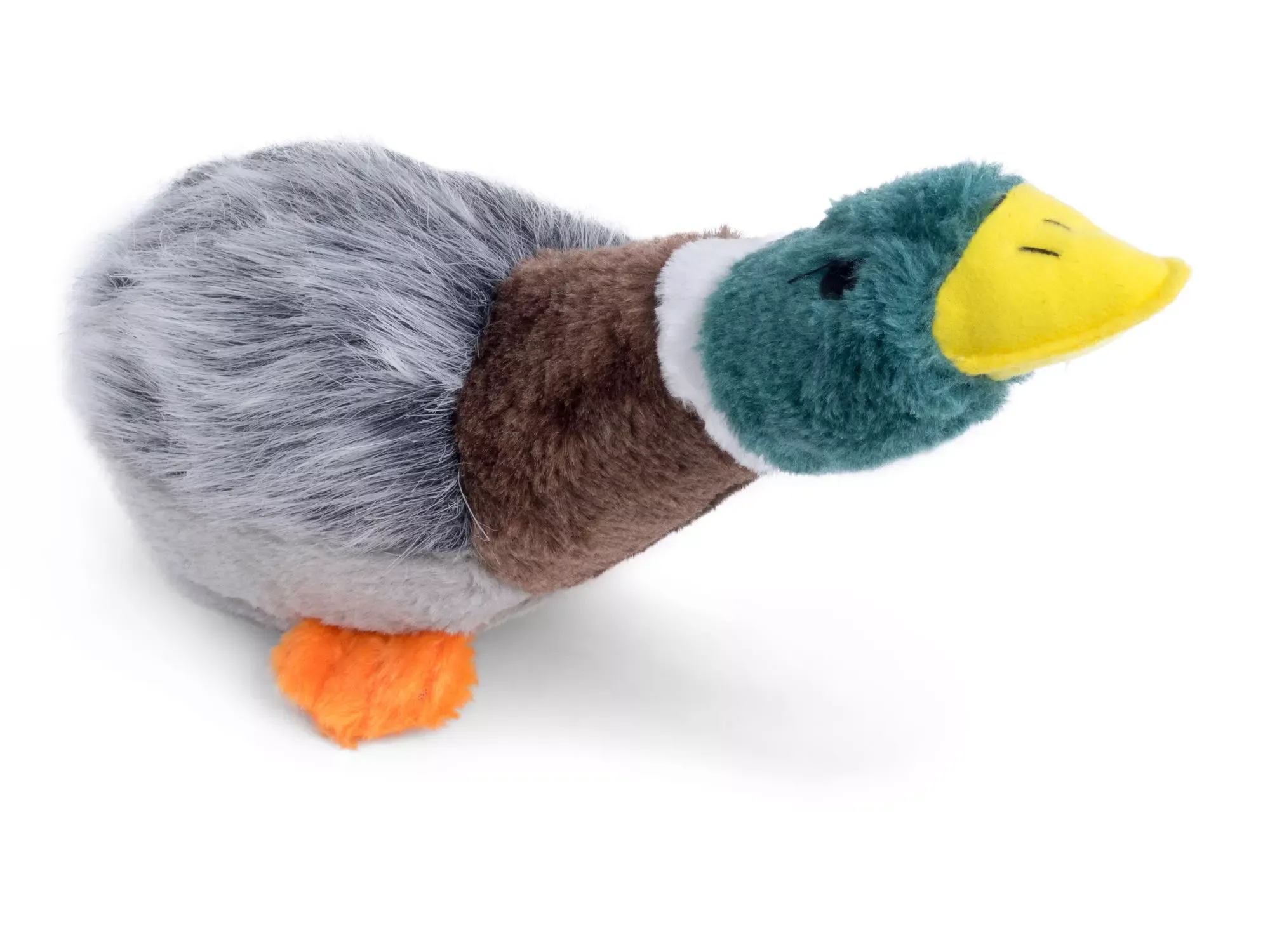 Rent Duck Dog Chew Toy