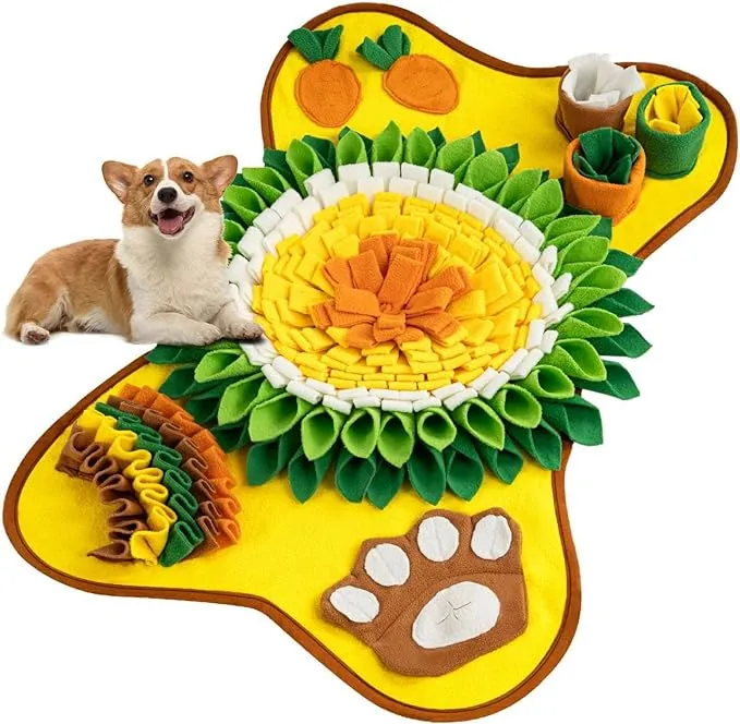 Rent Snuffle Mat for dogs and cats